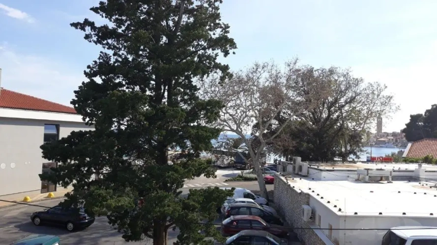 Standard Double room with balcony and with sea view