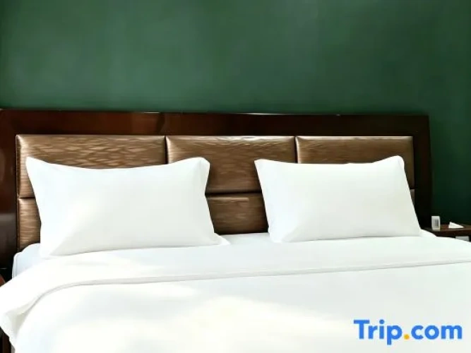 Business Double Suite