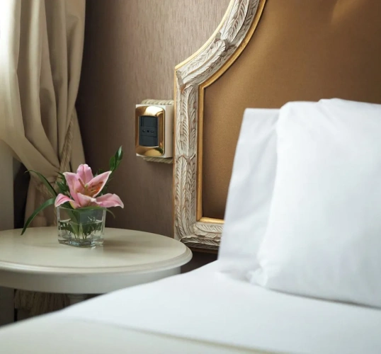 Superior Single room