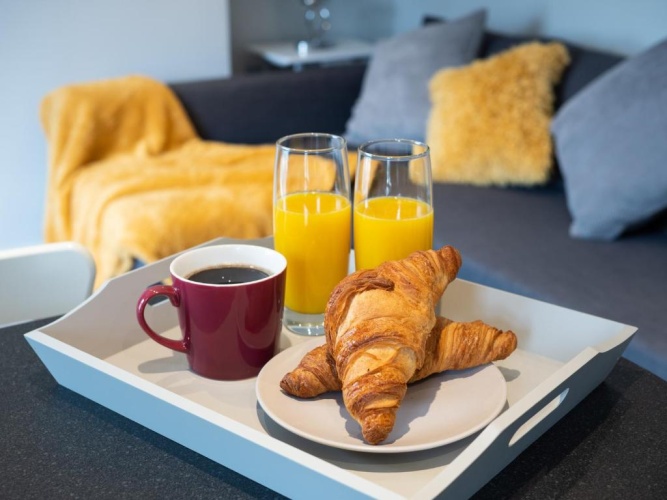 Deluxe Apartment