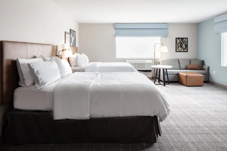 1 Bedroom Suite