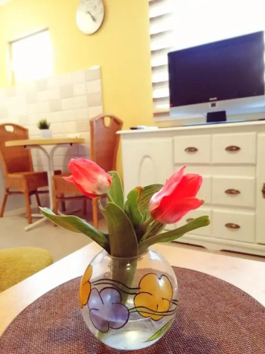 Apartmani Vrdnik