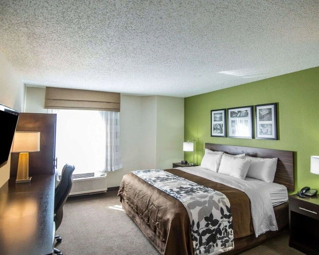 Standard Double room