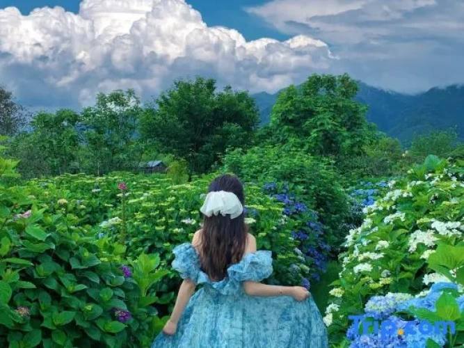 Outside