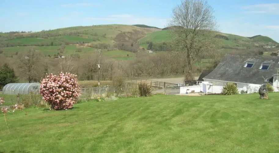Gwarllwyn
