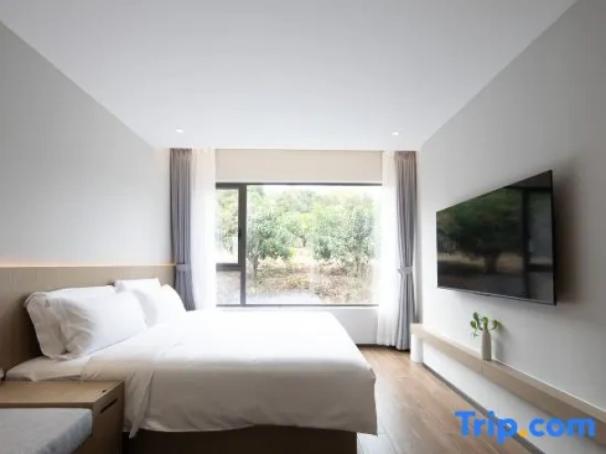 Standard Double room with mountain view