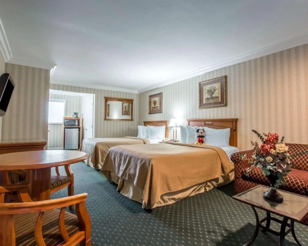 Quadruple Suite