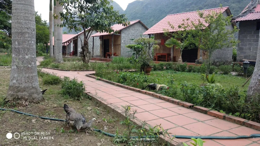 Whisper Nature Bungalow