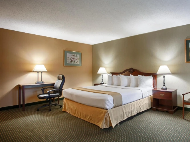 Standard Double room with pool view