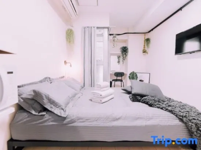 Economy Studio
