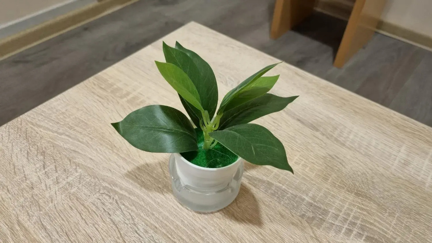 Apartment Kiki