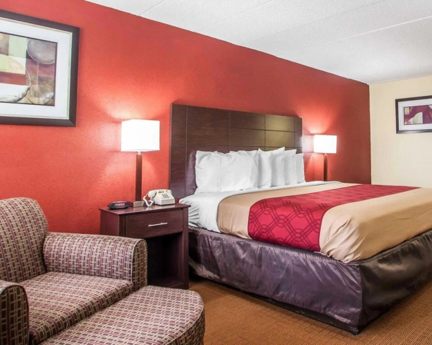 Standard room