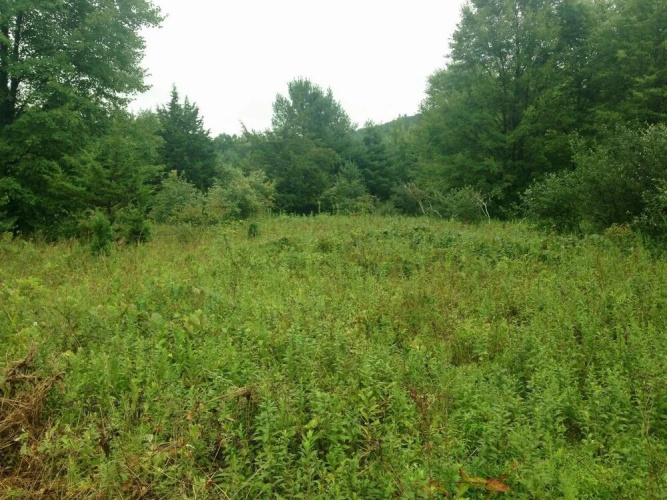 Tentrr - Clove Mountain Meadow