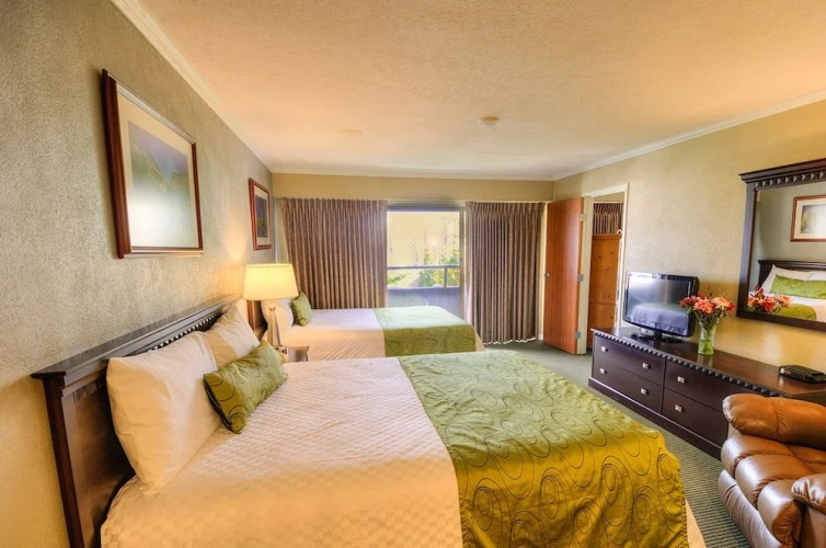 Premier Suite