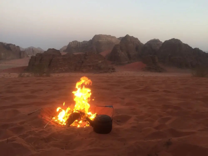 Wild Wadi Rum