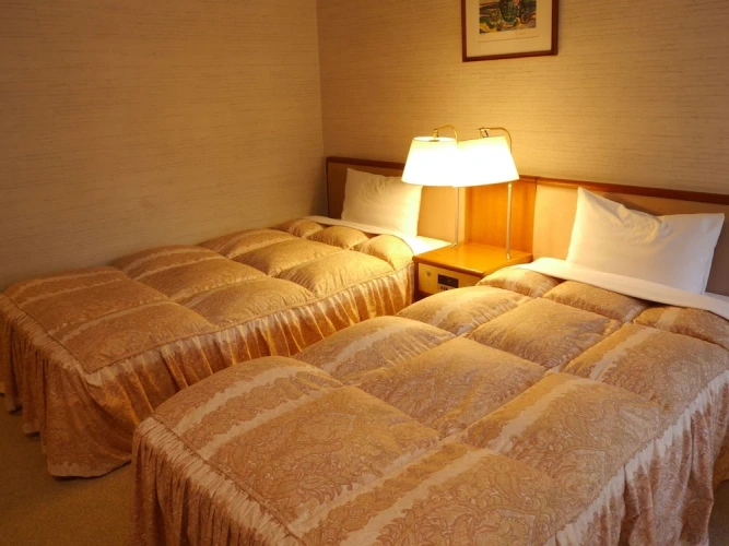 Standard Twin room with balcony