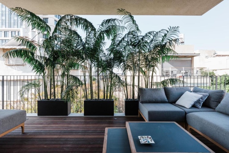 3 Bedrooms Apartment