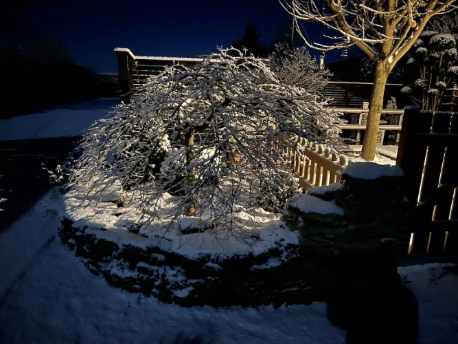 Cottage