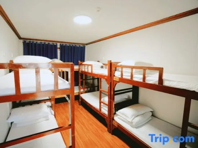 Bed in Dorm