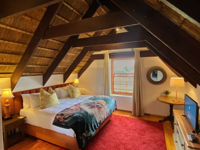 Standard Suite