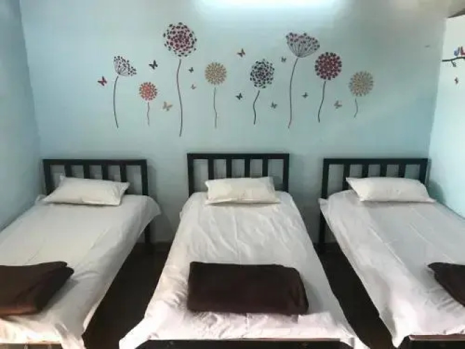 Green Fog Guesthouse