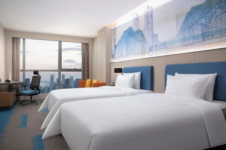 Superior Twin room with city view