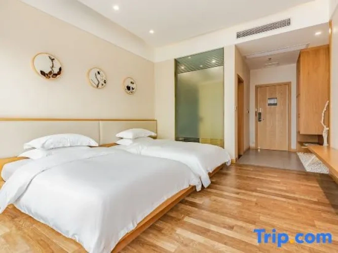 Deluxe Twin room with balcony and with mountain view