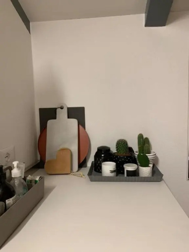 Buonconsiglio apartment