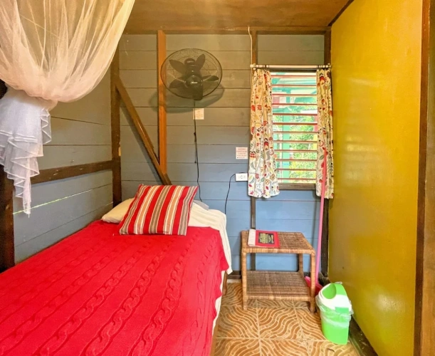 Economy Single room with garden view