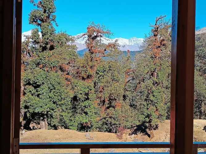 Chopta Resort