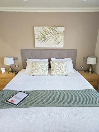 Premium Double Studio with bay view