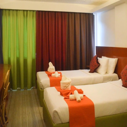 Deluxe Twin room