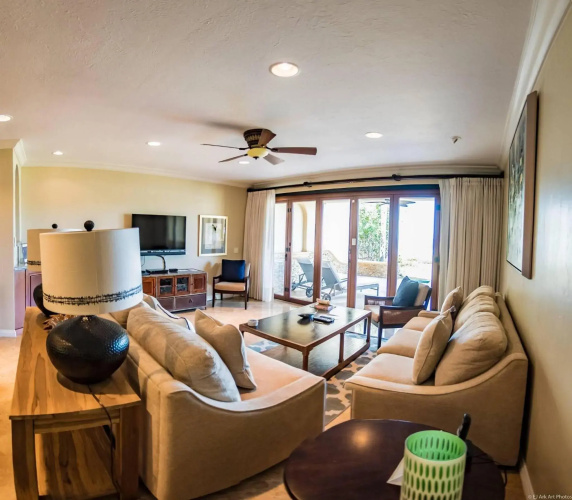 Palms 5