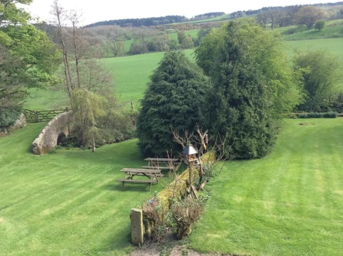 Deluxe Twin room with garden view