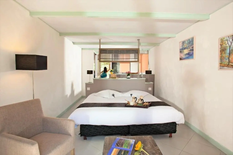 Standard Double room with balcony and with view