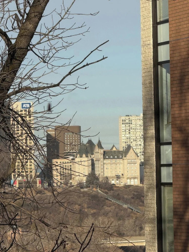 Luxurious Large 3 Bedroom Loft Saskatchewan Drive