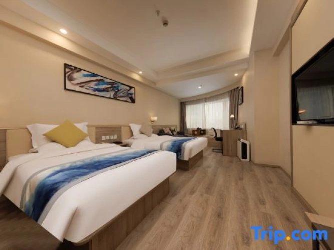 Standard Twin room with city view