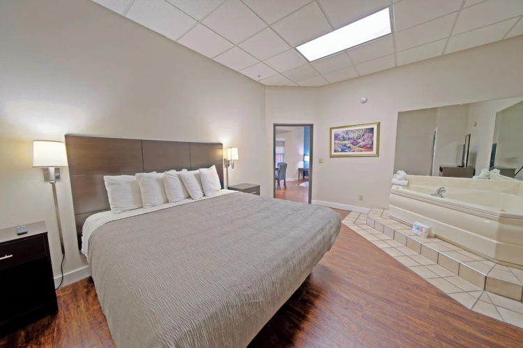 1 Bedroom Suite
