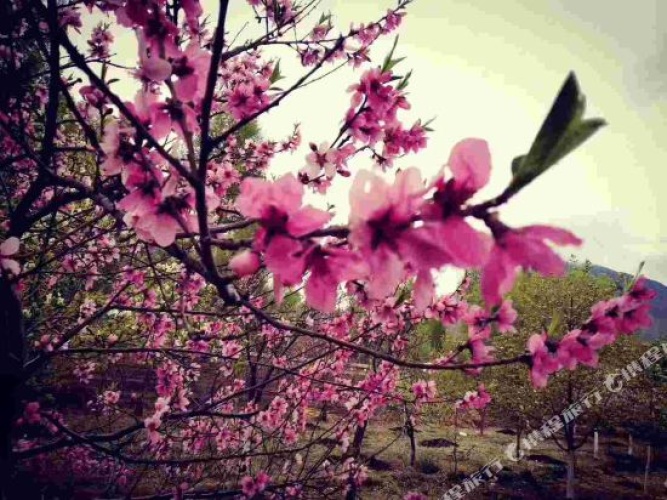Outside