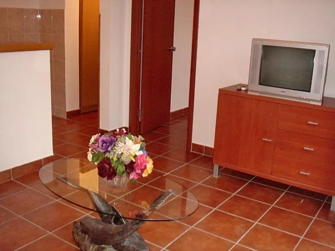 1 Bedroom Apartment with balcony