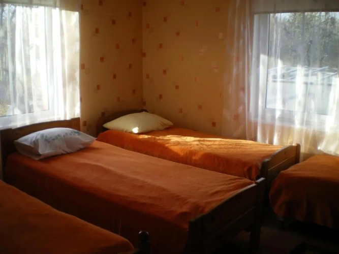 Bed in Dorm with view