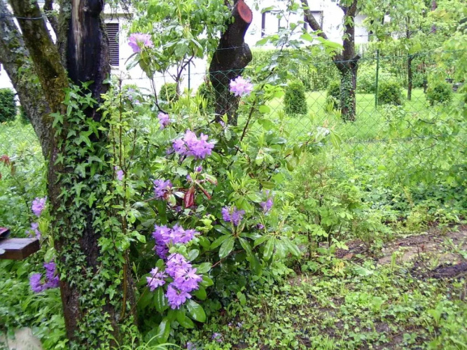 Gereben Villa
