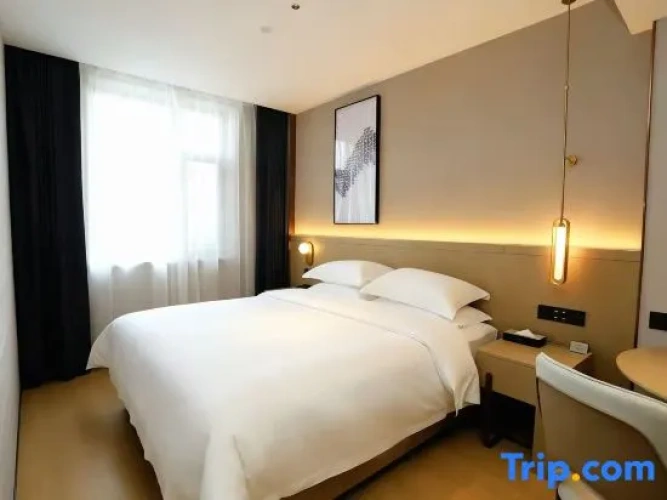 Standard Suite