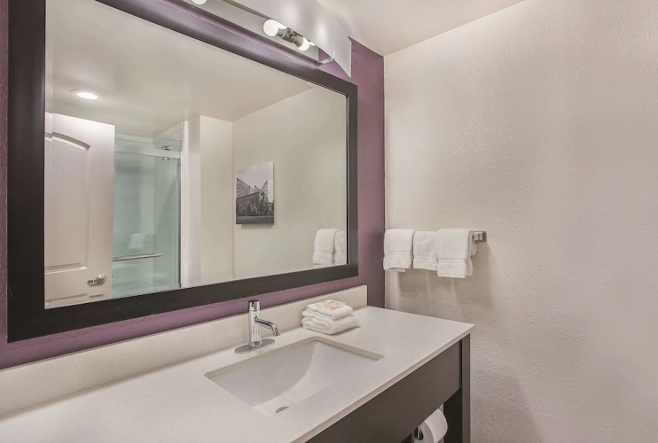 1 Bedroom Suite