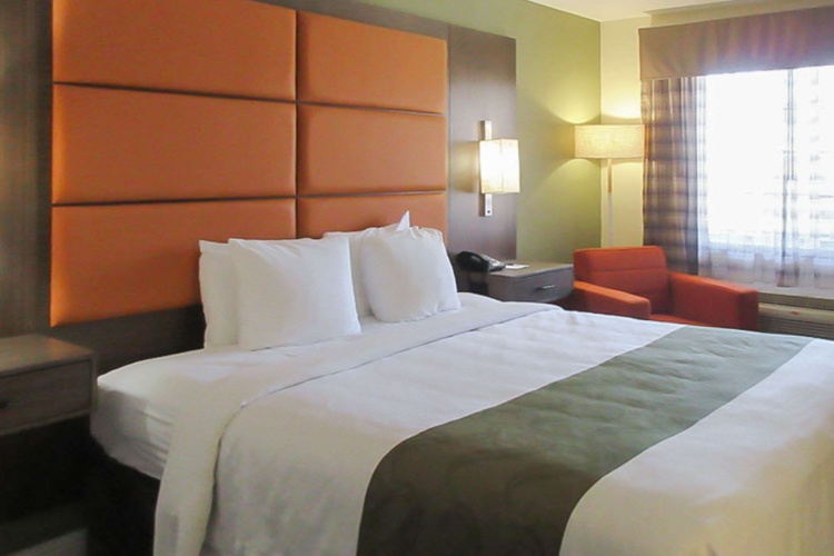 Standard Double room