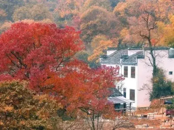 Xinyi Inn