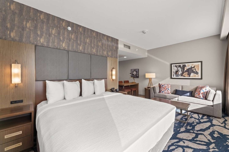 Embassy Suites by Hilton Irving Las Colinas photo 8