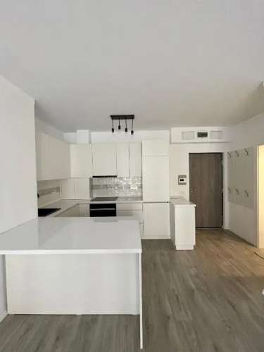 Cozy 1 Bedroom Apartment