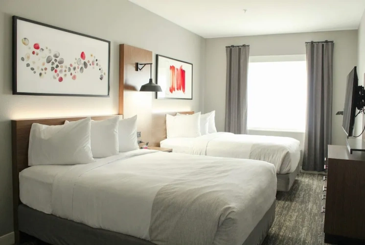 1 Bedroom Suite