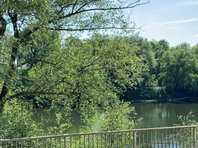 1 Bedroom Double Apartment